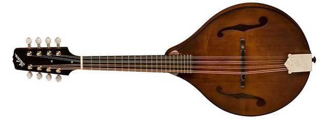 mandolin